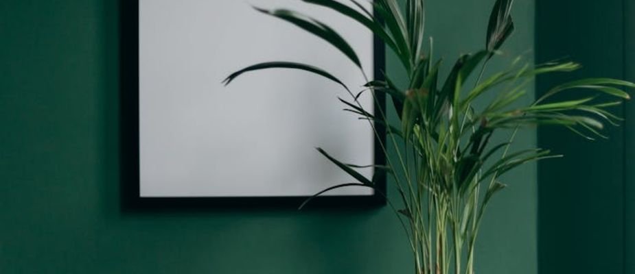 Design Orgânico: A Tendência das Formas Naturais na Decoração