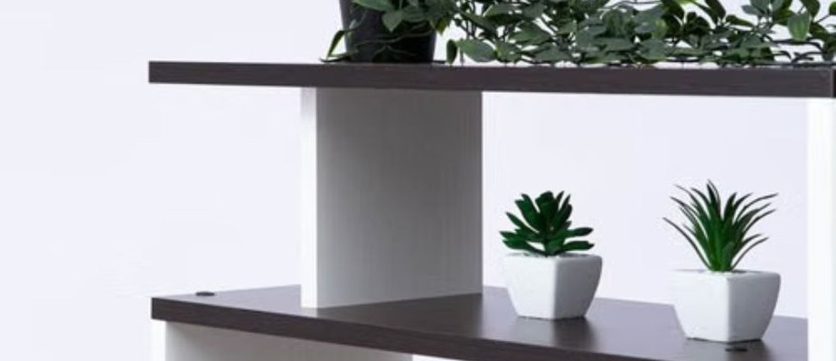 Como escolher estante para sala: Veja dicas para encontrar o modelo ideal para o seu ambiente Como escolher estante para sala: Veja dicas para encontrar o modelo ideal para o seu ambiente